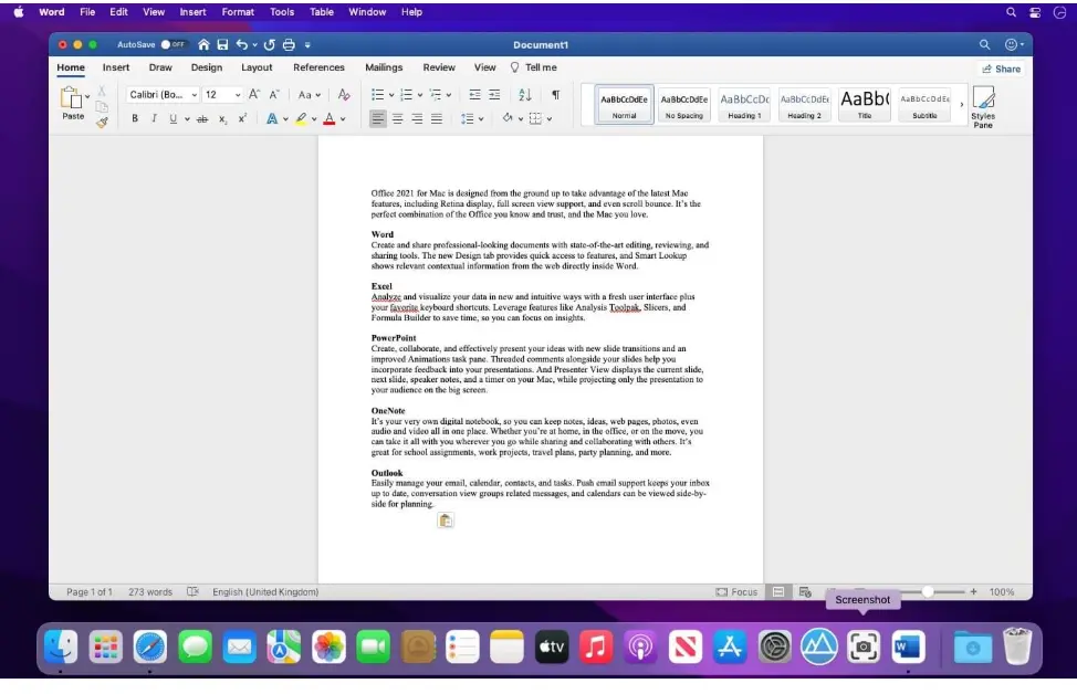 Microsoft Office 2024